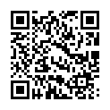 [131129] [STARGAZER] 未来戦姫 スレイブニル + Premium Content Disk + Bonus + Wallpaper的二维码