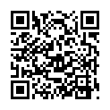 The Equalizer 2 [BluRay Rip 720p X264 MKV][AC3 5.1 Castellano - Ingles - SUB ES][2018][www.descargas2020.com]的二维码