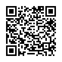 ฤดูกาลที่ 25.3 เรื่องราวในโคโนฮะ วันสุดวิเศษสำหรับการแต่งงาน (ตอนที่ 494-500)的二维码