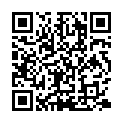 E-国产A片【本店唯一QQ：291379172】_40E-2元-国产视讯母子乱伦.avi的二维码