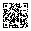 [Kamigami] Aldnoah Zero - 17 [1280×720 x264 AAC Sub(Chs,Jap)].mp4的二维码
