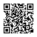 www.movcr.com-The Lone Ranger BRRip 720p x264 - Dual Audio[English-Hindi] - 1.3GB - Exclusive.mkv的二维码