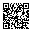 伸冤人2.The Equalizer 2.2018.WEB-DL.1080P.X264.AAC.CHS-ENG.mp4的二维码