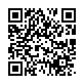 伸冤人2 The Equalizer 2 2018.HD1080P.x264.精准中文字幕.eng.chs.aac.mp4的二维码